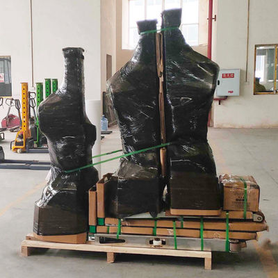 500kg 800mm Lifting Height Electric Self Loading Stacker Car Stacker for Industrial